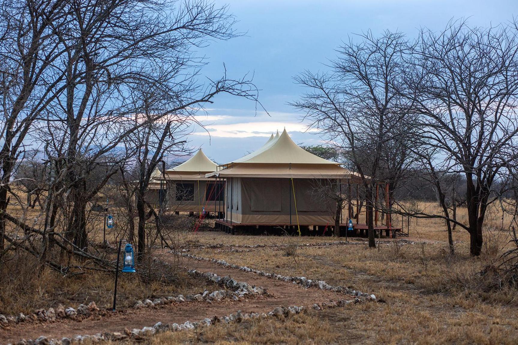 House Of Nature Serengeti Dış mekan fotoğraf